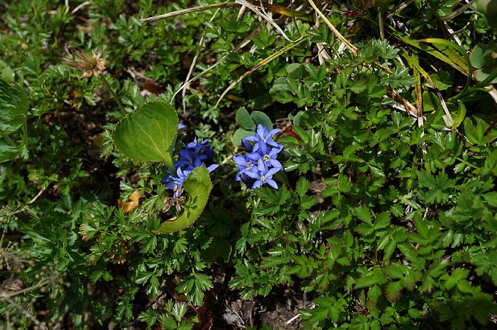 DSC00270.JPG