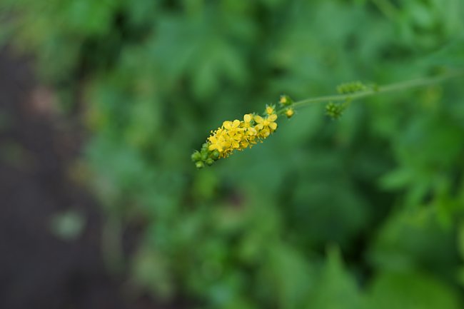 dsc01567.jpg
