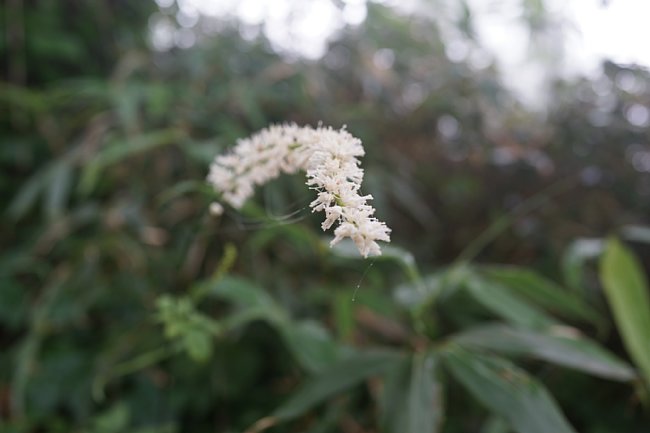 dsc01569.jpg