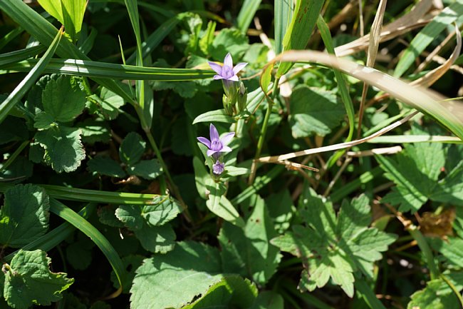 dsc01580.jpg