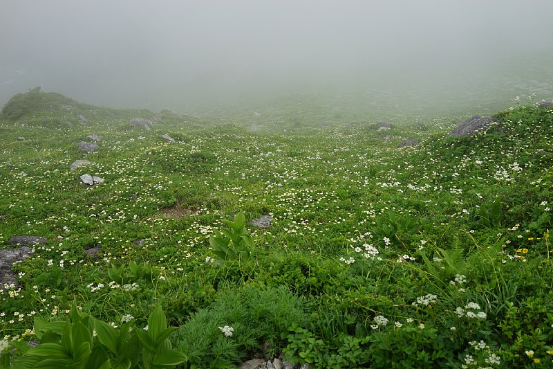 DSC05718.JPG