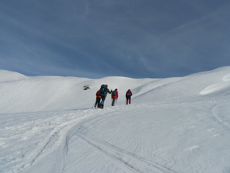 P1000782.JPG