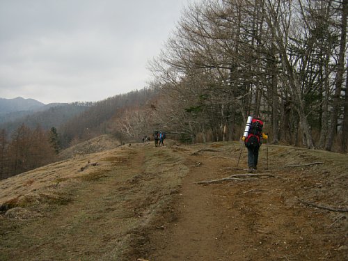 IMG_0252.jpg