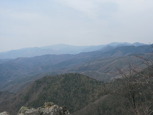 IMG_0262.jpg