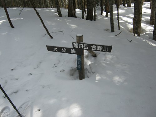 IMG_0309.jpg