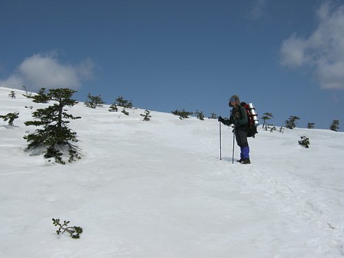 IMG_0317.jpg