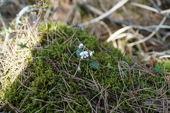 DSC08161.JPG