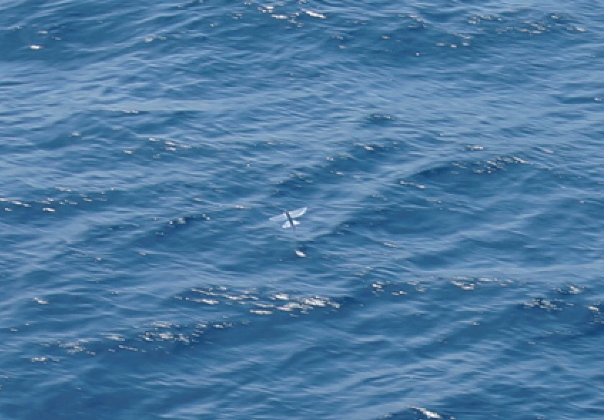 DSC08183.JPG