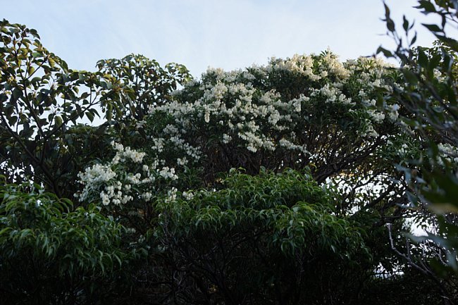 DSC08212.JPG