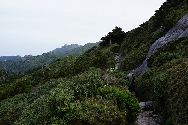 DSC08226.JPG