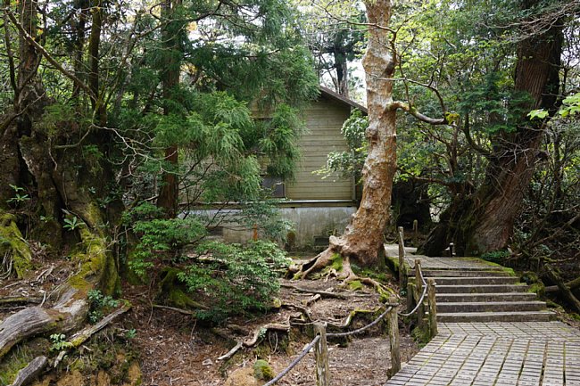 DSC08258.JPG
