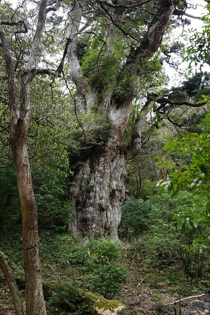 DSC08262.JPG