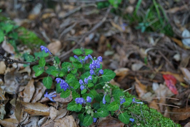 DSC08307.JPG