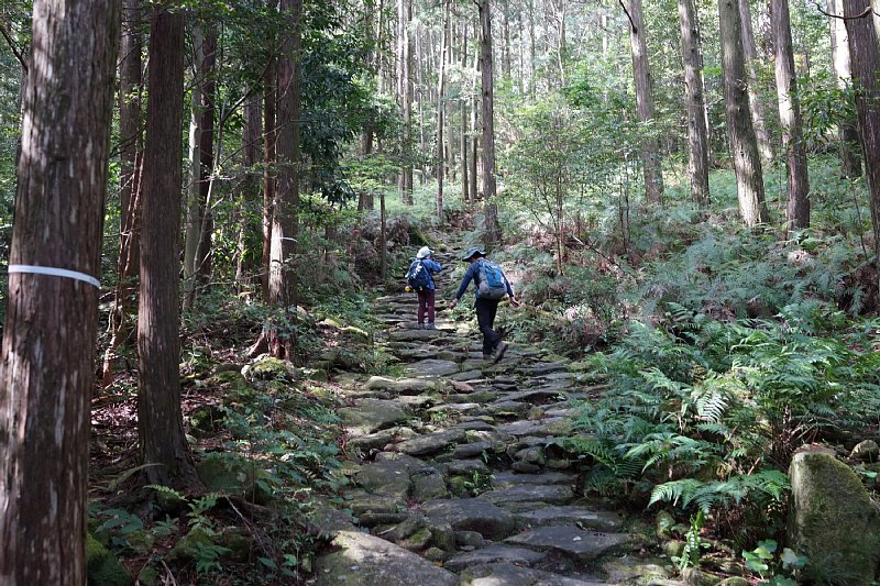 DSC04476.JPG