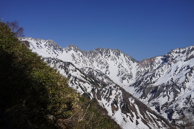 DSC07537.JPG