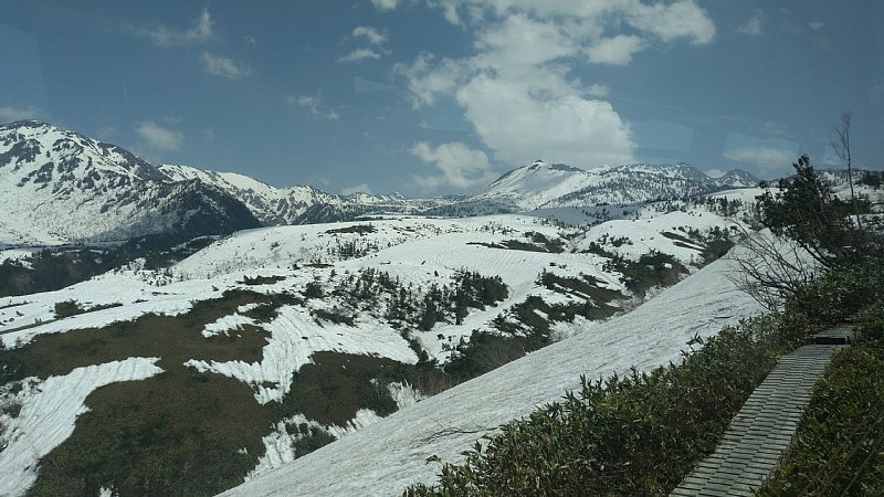 DSC_2568.JPG